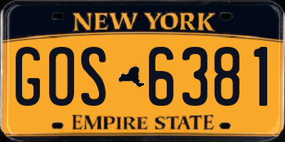 NY license plate GOS6381