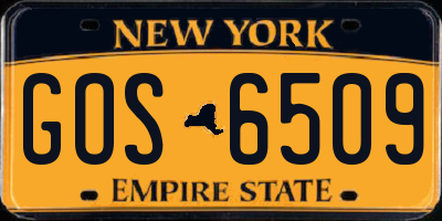 NY license plate GOS6509