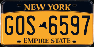 NY license plate GOS6597