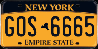 NY license plate GOS6665