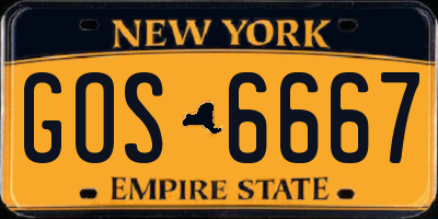 NY license plate GOS6667
