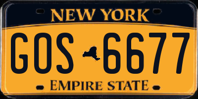 NY license plate GOS6677