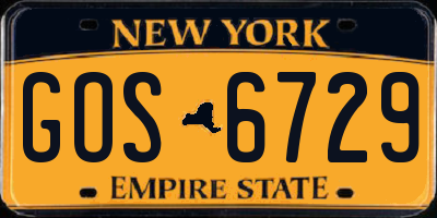 NY license plate GOS6729