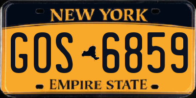 NY license plate GOS6859