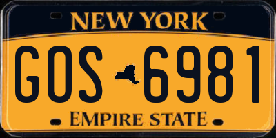 NY license plate GOS6981