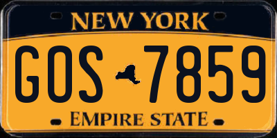 NY license plate GOS7859