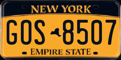 NY license plate GOS8507