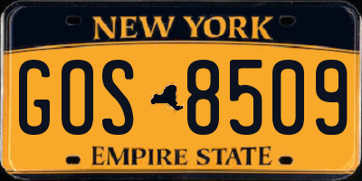 NY license plate GOS8509