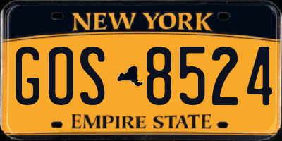NY license plate GOS8524