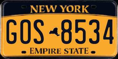 NY license plate GOS8534