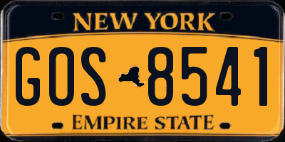 NY license plate GOS8541