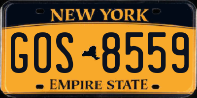 NY license plate GOS8559