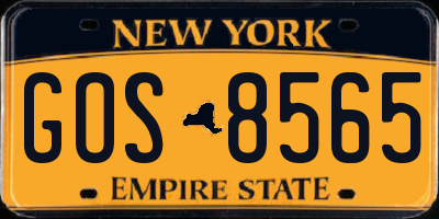 NY license plate GOS8565