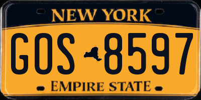 NY license plate GOS8597