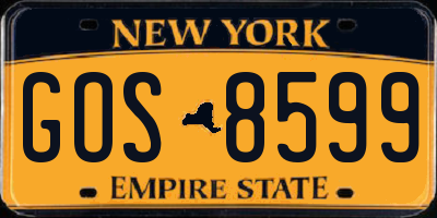 NY license plate GOS8599