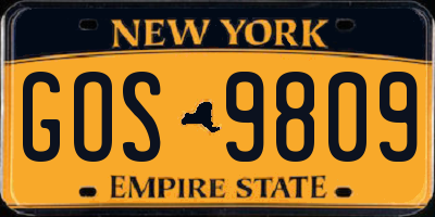 NY license plate GOS9809