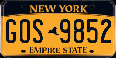 NY license plate GOS9852