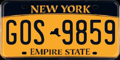 NY license plate GOS9859