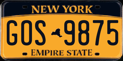 NY license plate GOS9875