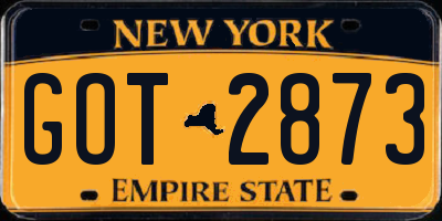 NY license plate GOT2873