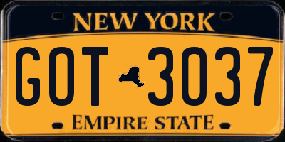NY license plate GOT3037