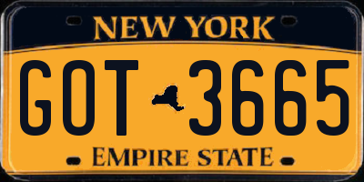 NY license plate GOT3665