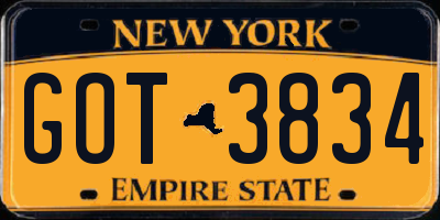 NY license plate GOT3834