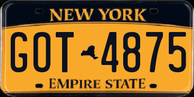 NY license plate GOT4875
