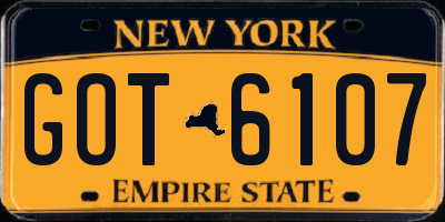 NY license plate GOT6107