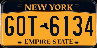 NY license plate GOT6134