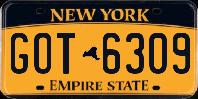 NY license plate GOT6309