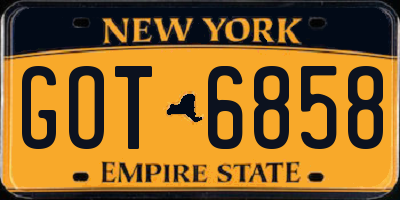 NY license plate GOT6858