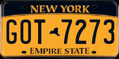 NY license plate GOT7273