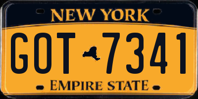NY license plate GOT7341