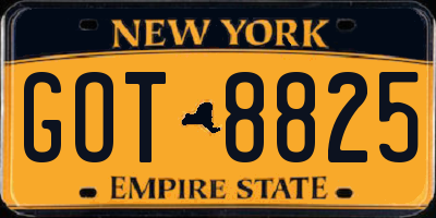 NY license plate GOT8825