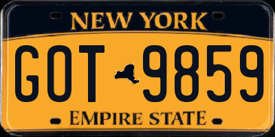 NY license plate GOT9859