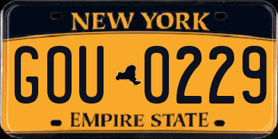 NY license plate GOU0229