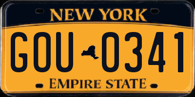 NY license plate GOU0341