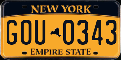 NY license plate GOU0343