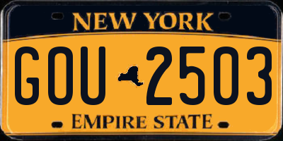 NY license plate GOU2503