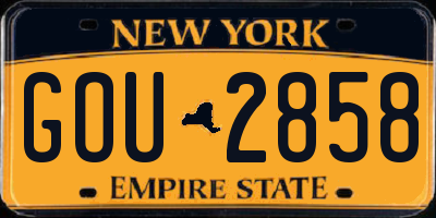 NY license plate GOU2858