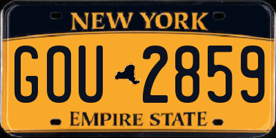 NY license plate GOU2859