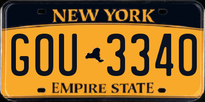 NY license plate GOU3340
