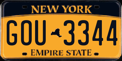NY license plate GOU3344