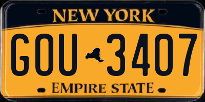 NY license plate GOU3407