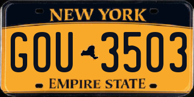 NY license plate GOU3503