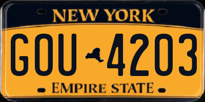 NY license plate GOU4203