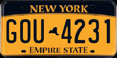 NY license plate GOU4231