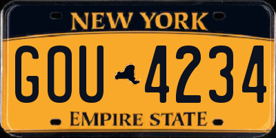 NY license plate GOU4234