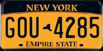 NY license plate GOU4285